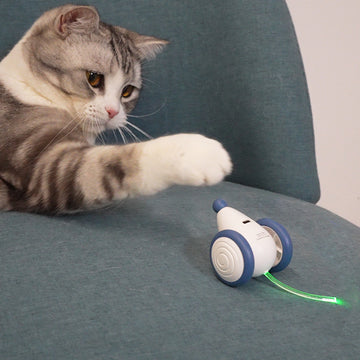 Electric Mouse Cat Toy